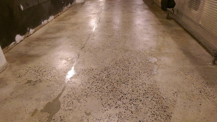 BAR Floor in Minneapolis