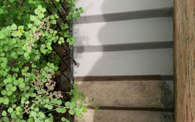 Concrete Steps Restoration