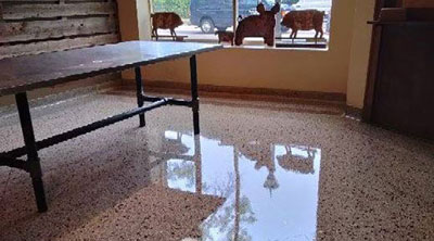 Terrazzo Restoration St. Paul Restaurant